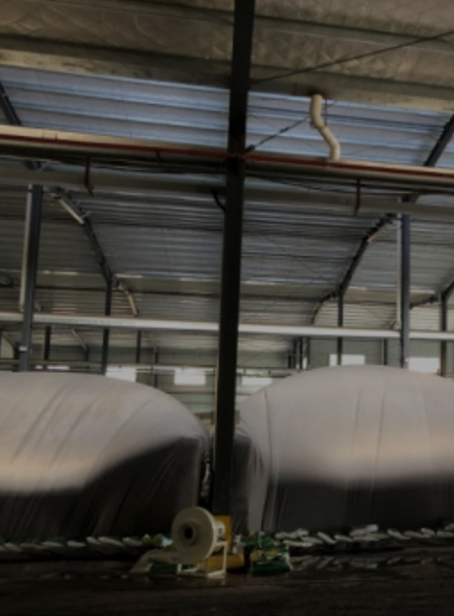 壹定发·(EDF)最新官方网站